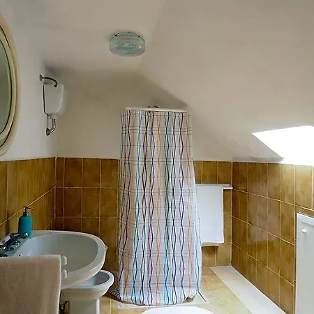 Domus Tua